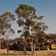 Illustration for article titled These Abandoned Tanks Are Rusting Mementoes of the Wars of the Past